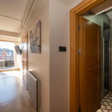 Taksim Loft Lejlighed *