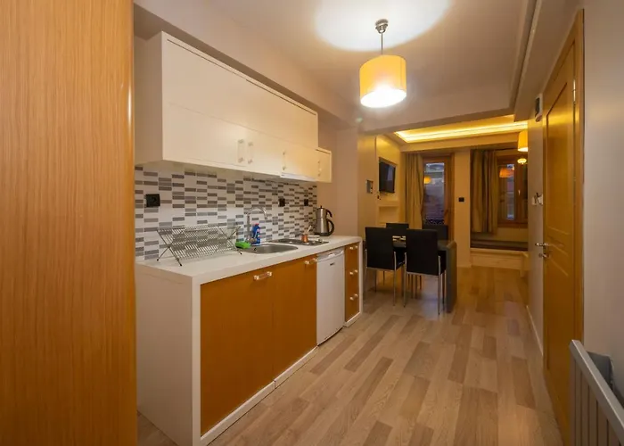 Apartman Taksim Loft